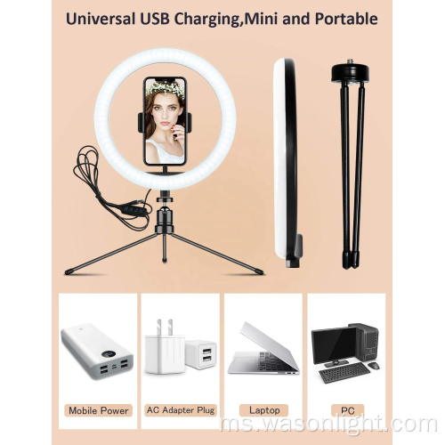 Hot 10 inci Dimmable Remote Control Selfie Cincin Cincin Fotografi Dengan Tripod Stand untuk Tiktok Makeup dan Live Stream